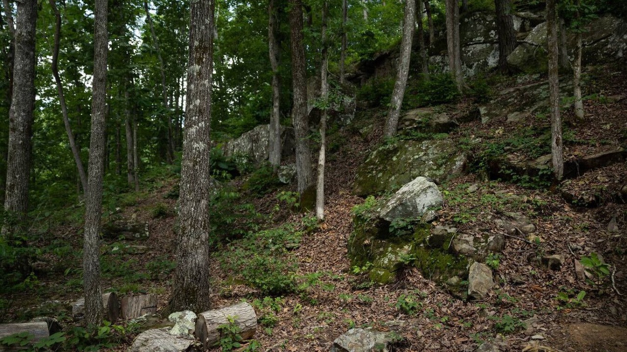 Photo of Others in Arley