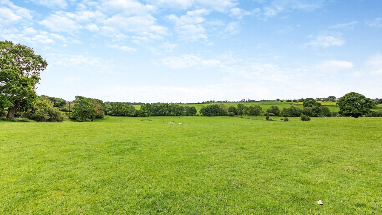 Photo of Others in Durham