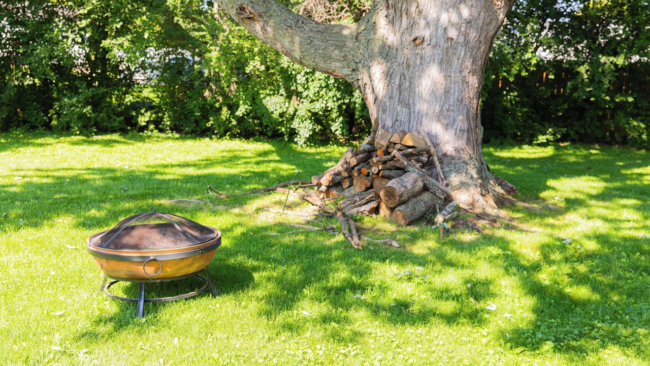 Photo of Outdoor in Rochester
