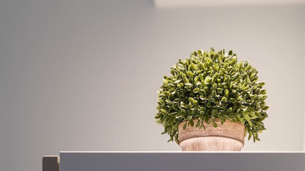 Photo of Others in Vieux Vichy