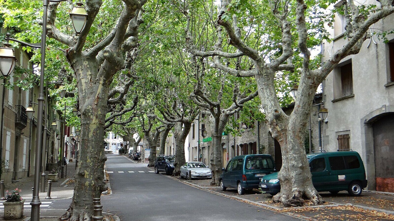 Photo of Others in Villeneuve-Minervois