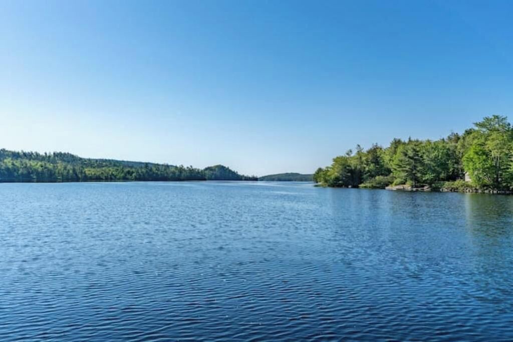 Photo of Others in Porters Lake