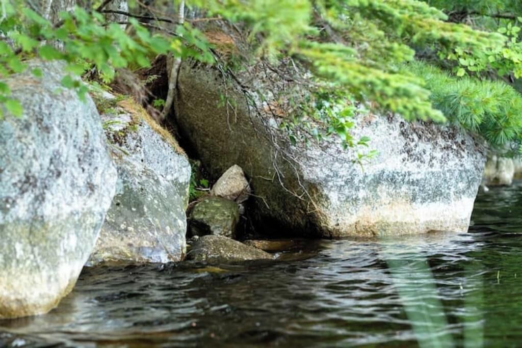 Photo of Others in Porters Lake