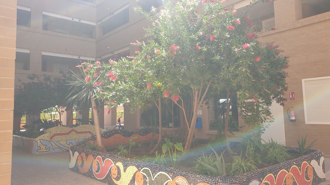 Photo of Outdoor in Cabanes