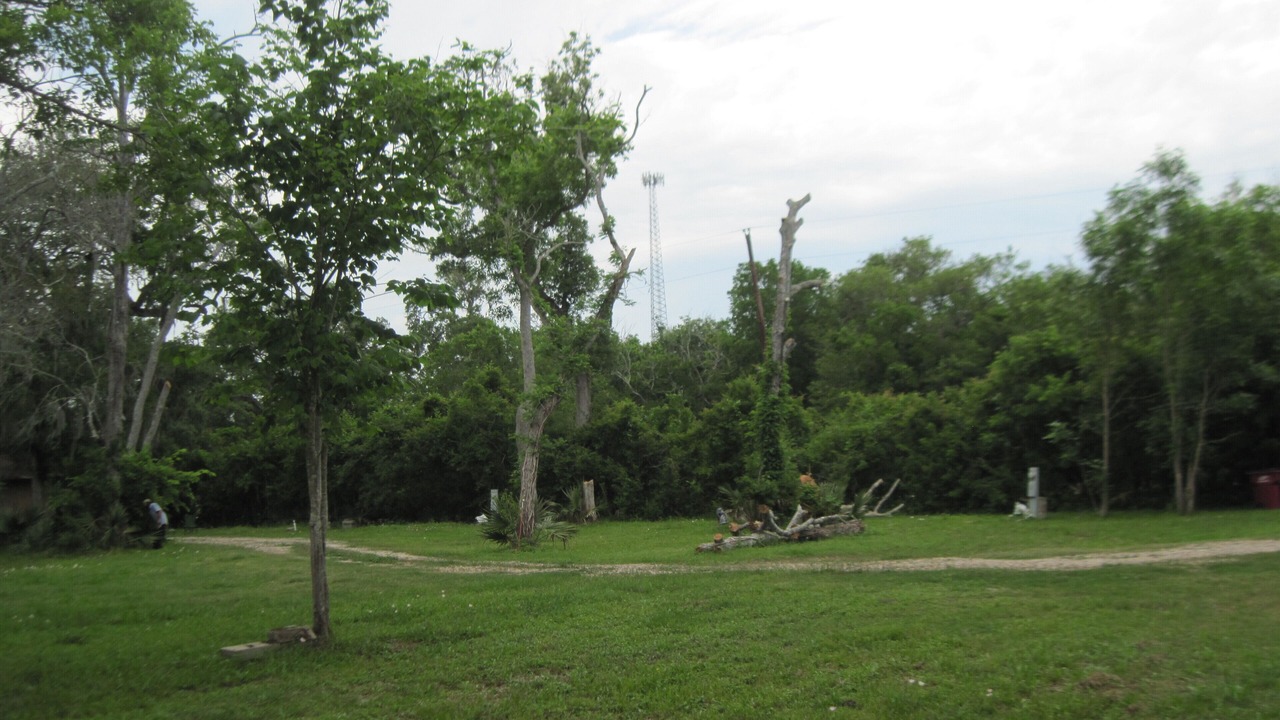 Photo of Others in Cedar Lane
