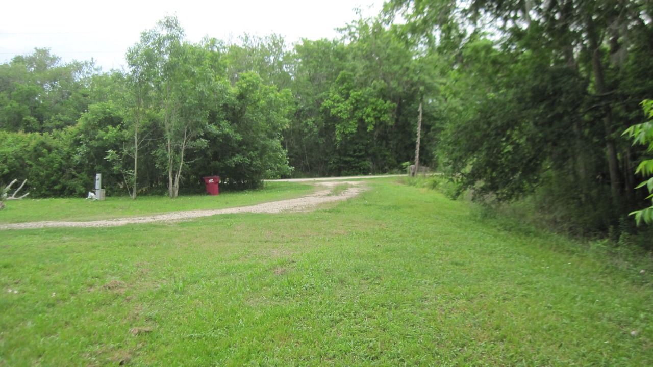 Photo of Others in Cedar Lane