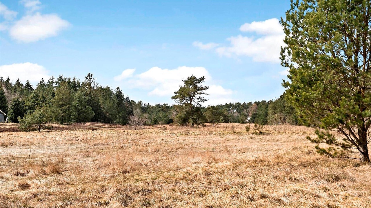 Photo of Others in Bording