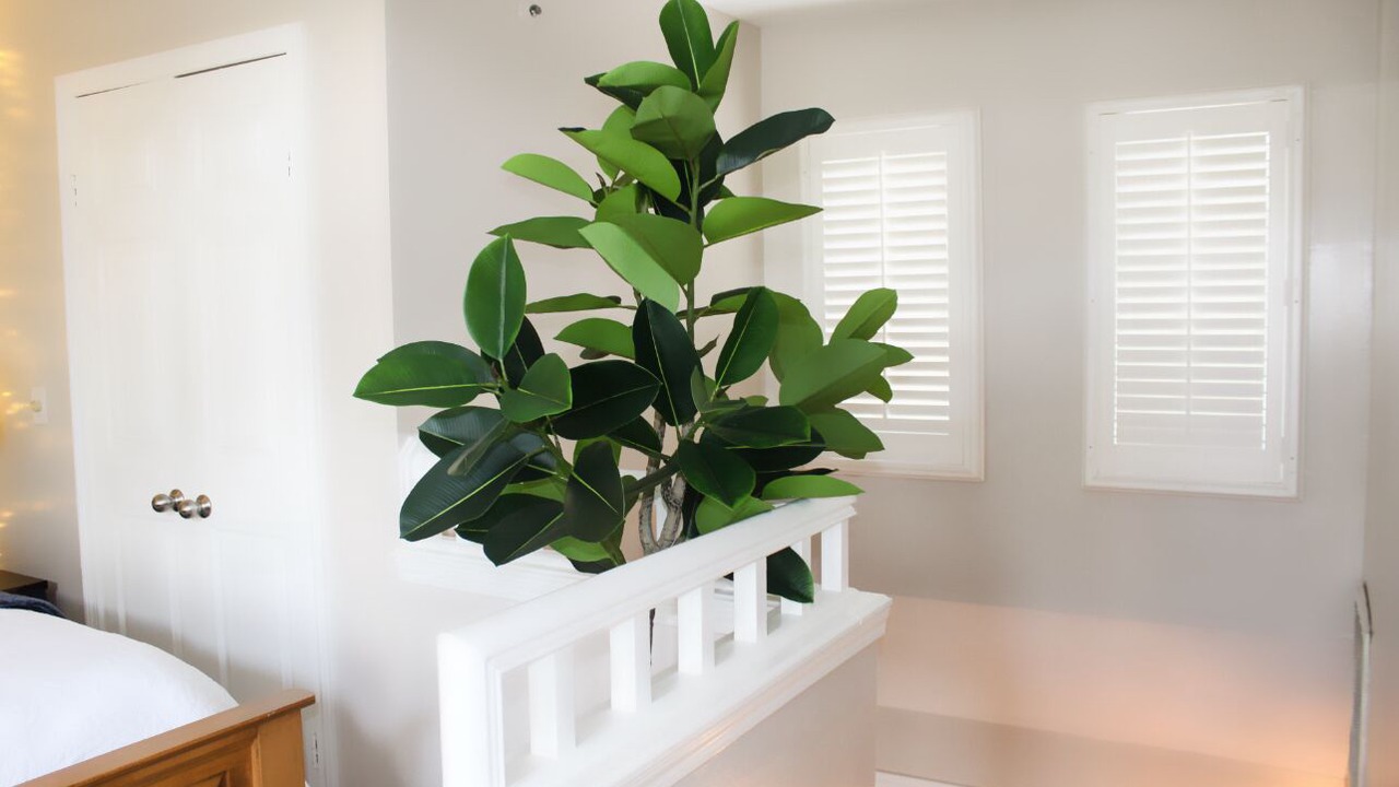 Photo of Bedroom in Norwich