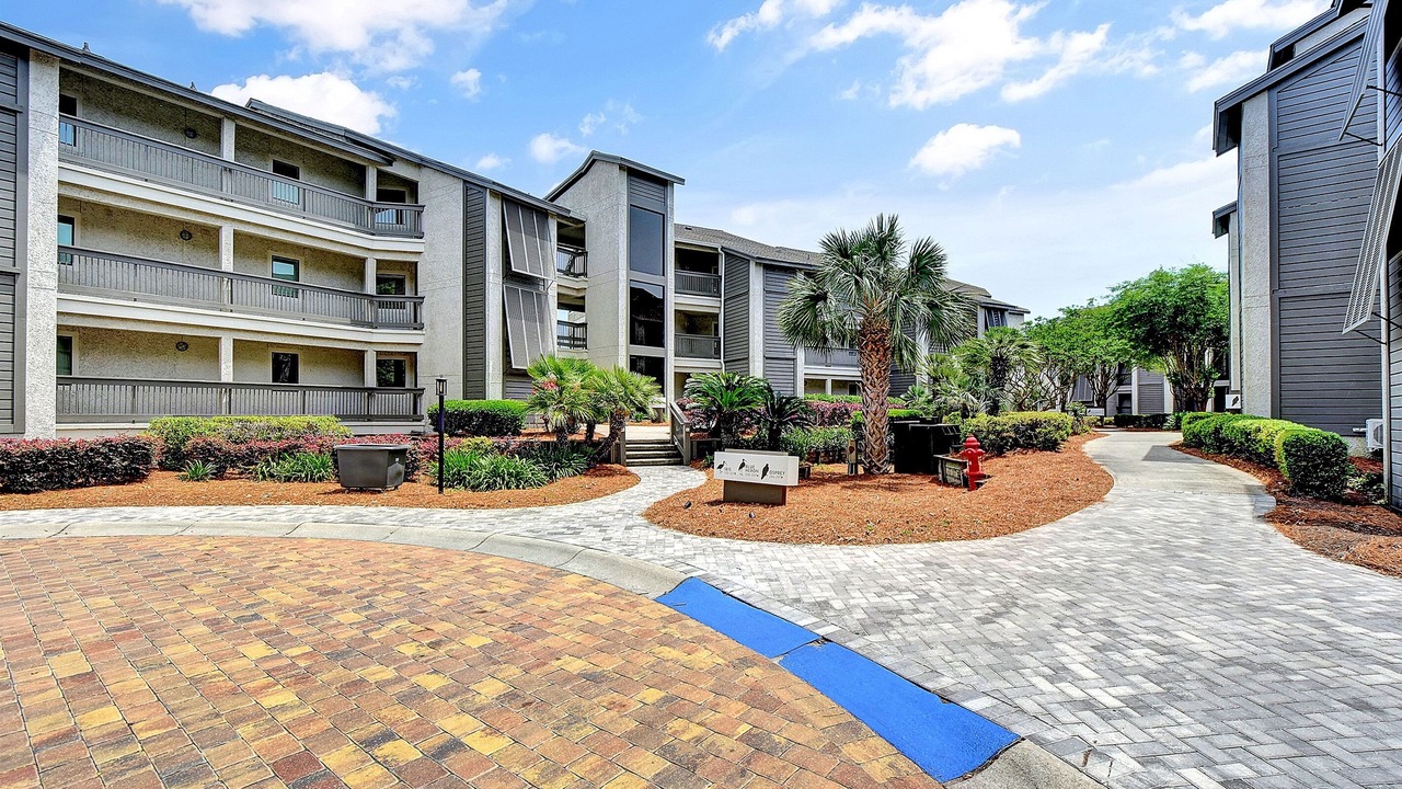 Photo of Outdoor in St. Simons Island