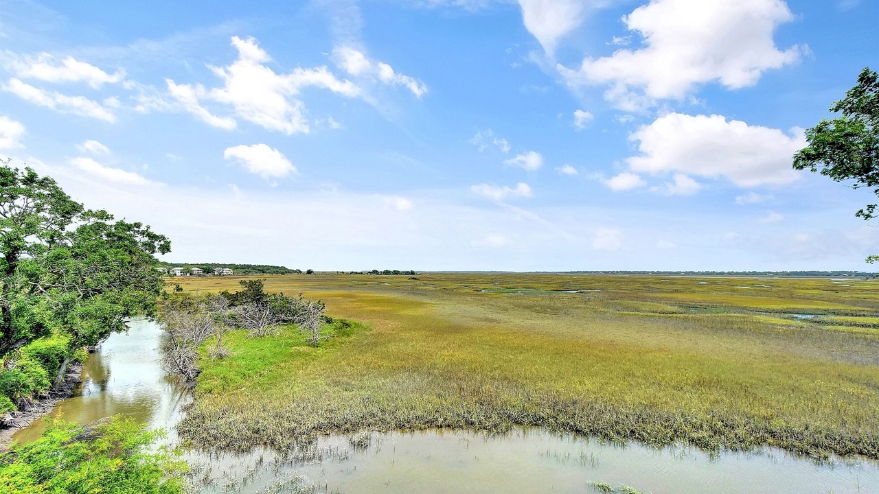 Photo of Others in St. Simons Island