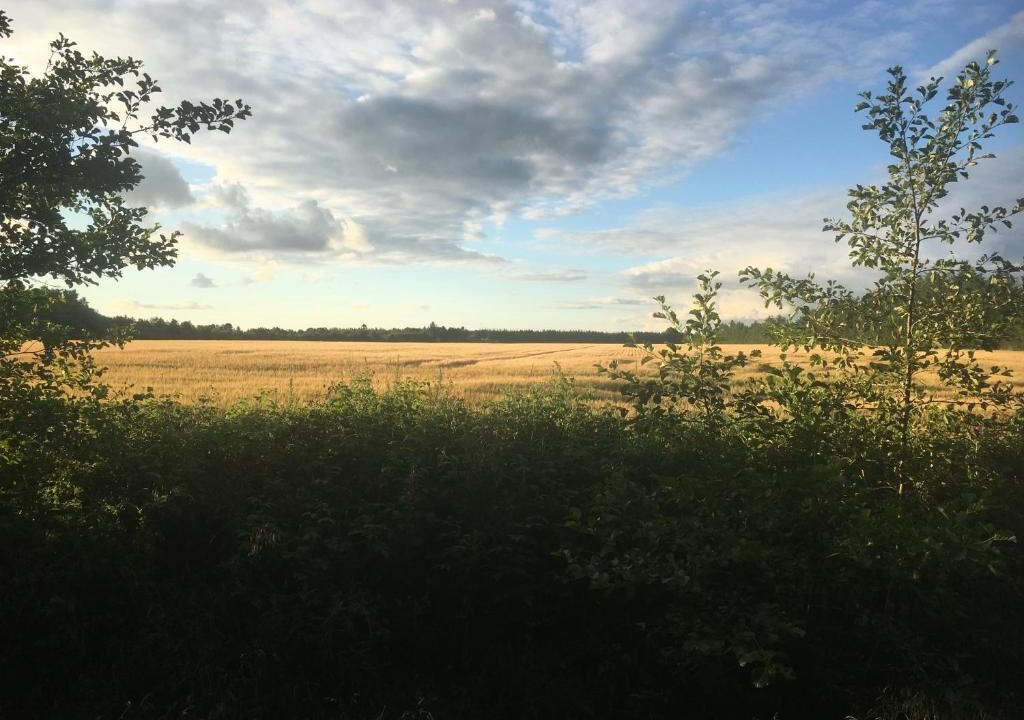 Photo of Outdoor in Billund