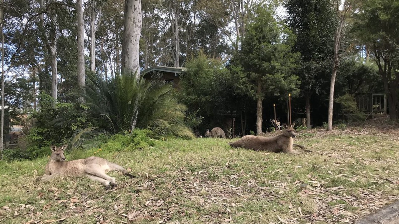 Photo of Outdoor in Long Beach