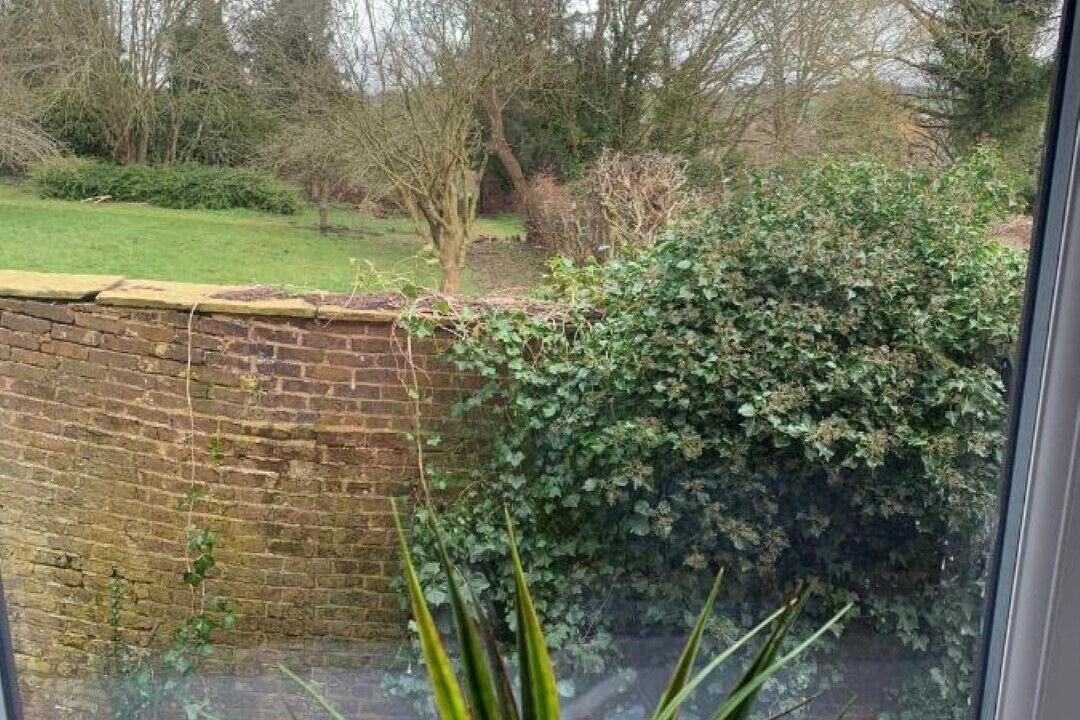 Photo of Others in Flintshire