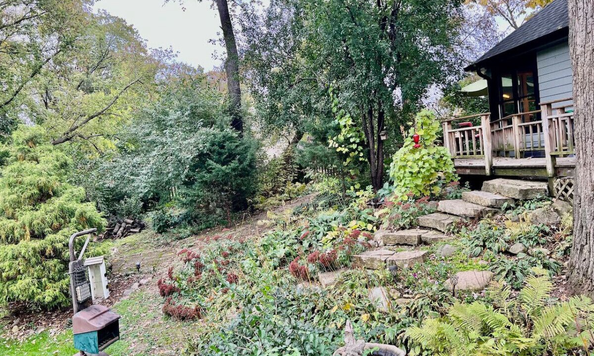Photo of Outdoor in Village of Lakewood