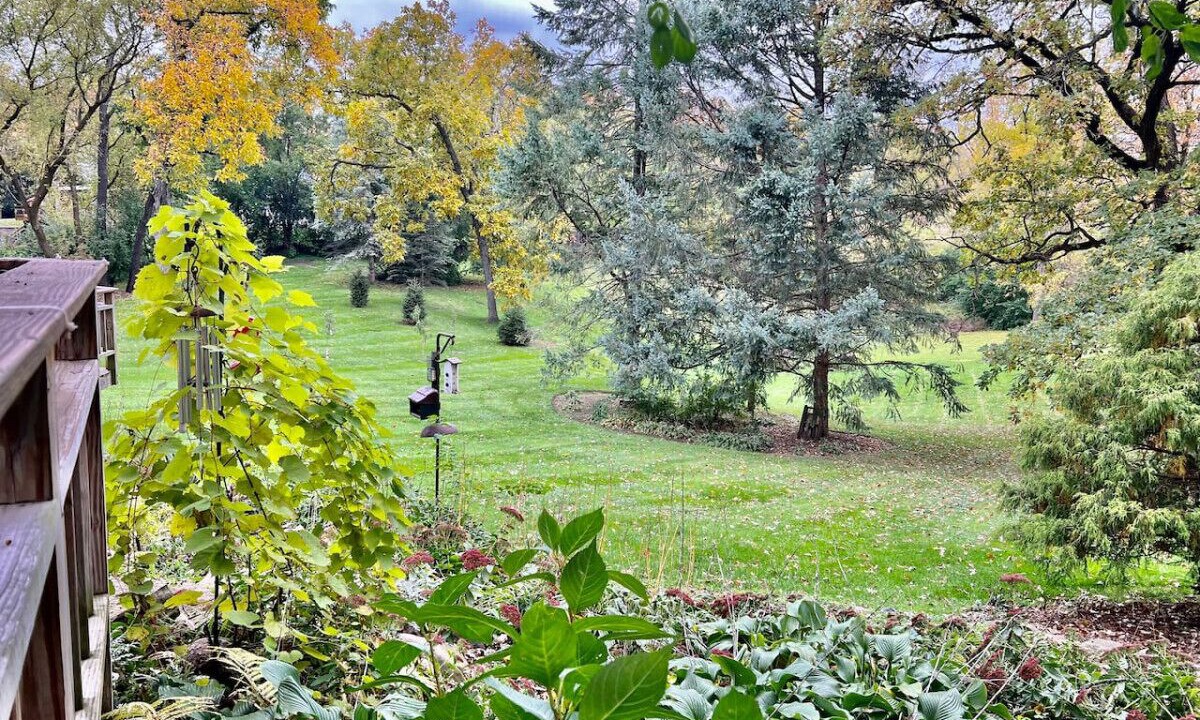 Photo of Outdoor in Village of Lakewood