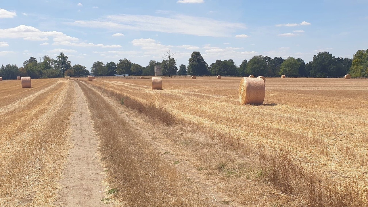 Photo of Others in Elincourt-Sainte-Marguerite