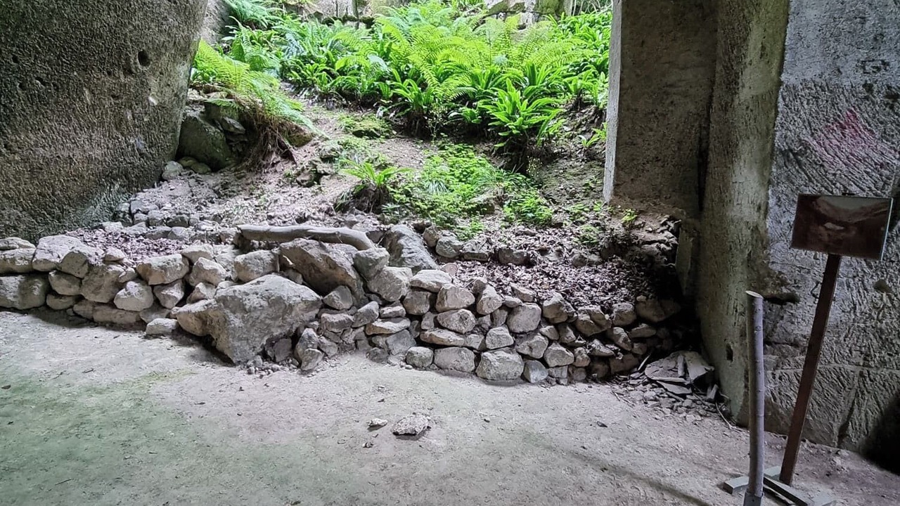 Photo of Outdoor in Elincourt-Sainte-Marguerite