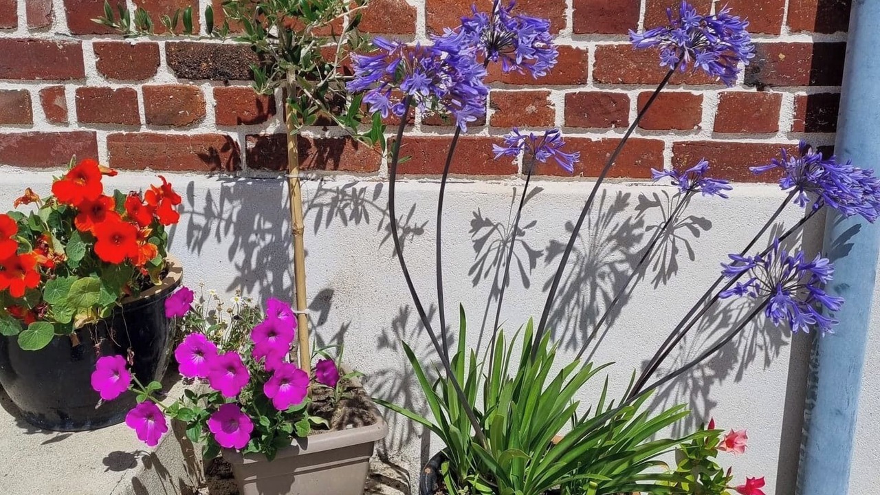 Photo of Outdoor in Elincourt-Sainte-Marguerite