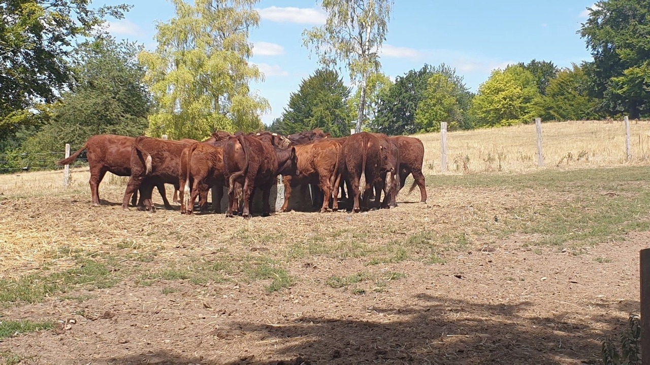 Photo of Others in Elincourt-Sainte-Marguerite
