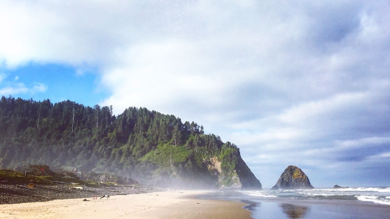 Photo of Others in Arch Cape