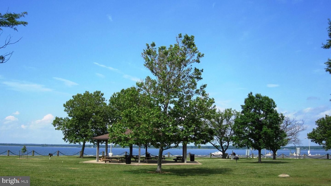 Photo of Others in Cambridge