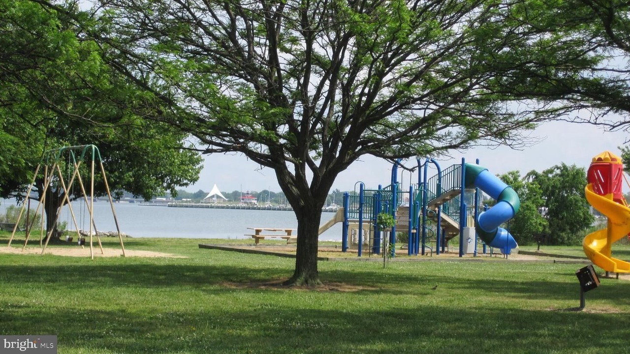 Photo of Others in Cambridge