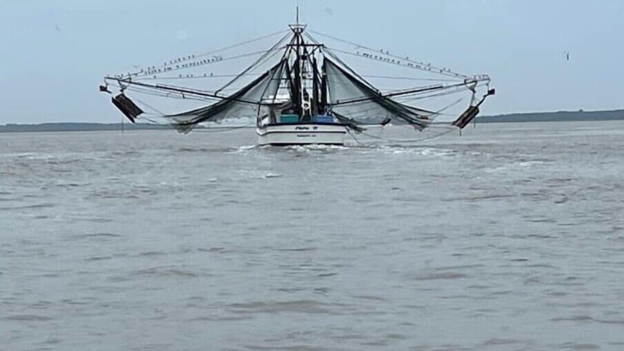 Photo of Others in Midway