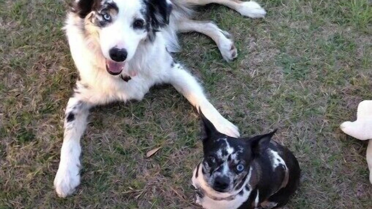 Photo of Others in Midway