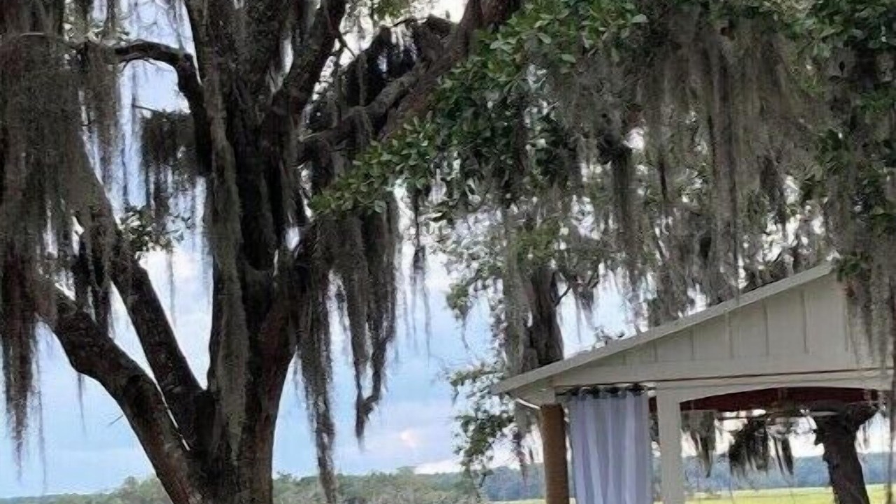 Photo of Patio Balcony in Midway