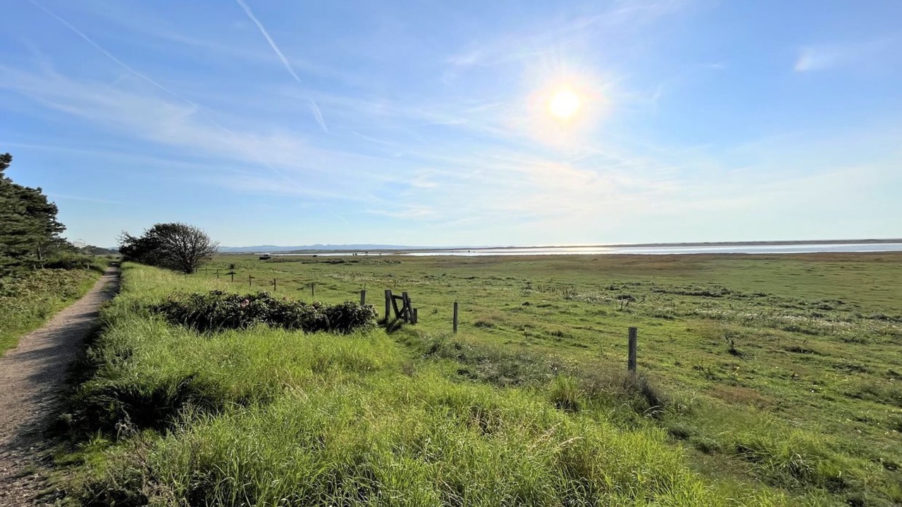 Photo of Outdoor in Hoensinge