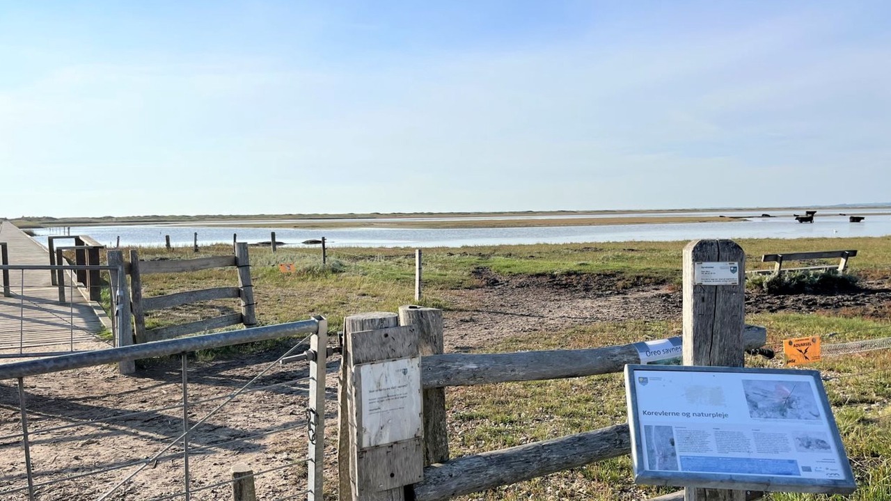 Photo of Outdoor in Hoensinge