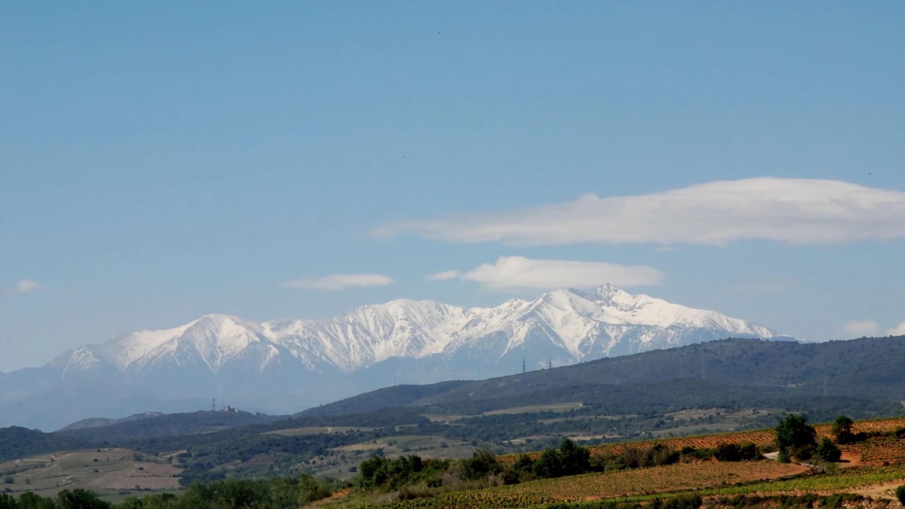 Photo of Others in Camplong-d'Aude