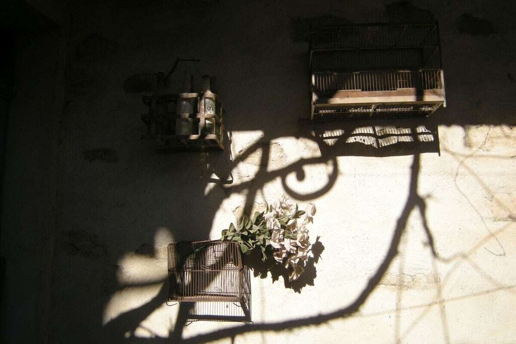 Photo of Outdoor in Camplong-d'Aude