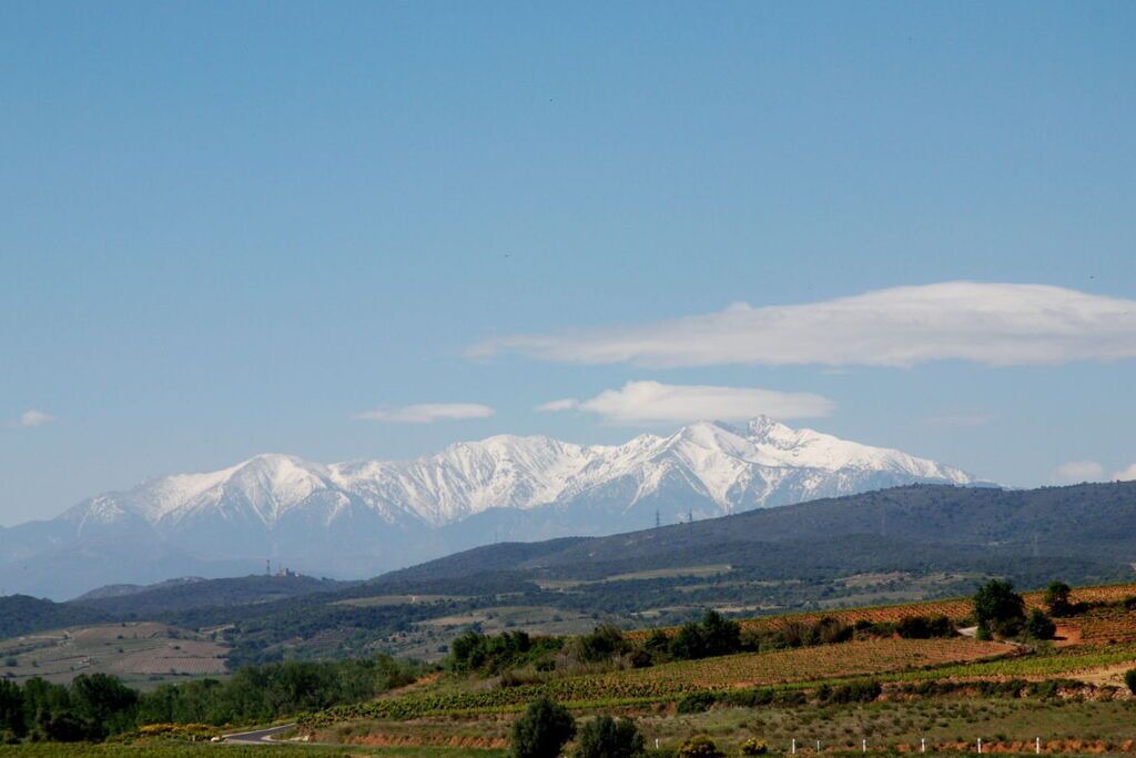 Photo of Outdoor in Ferrals-les-Corbieres