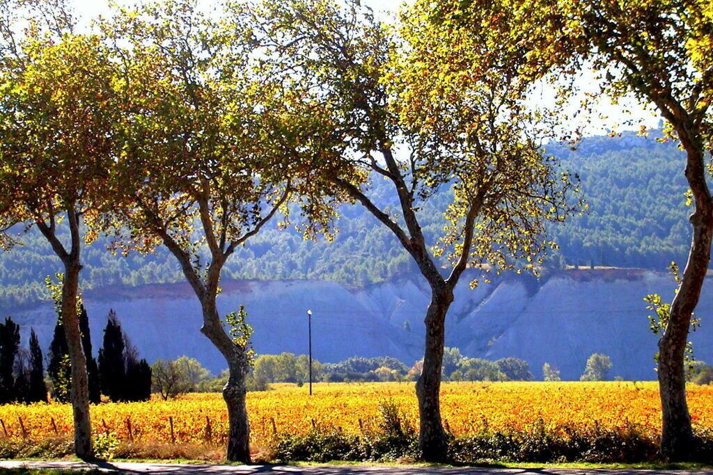 Photo of Others in Ferrals-les-Corbieres
