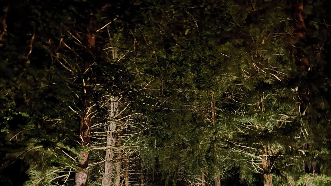 Photo of Outdoor in Vouzon