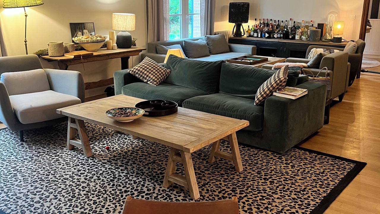 Photo of Livingroom in Vouzon