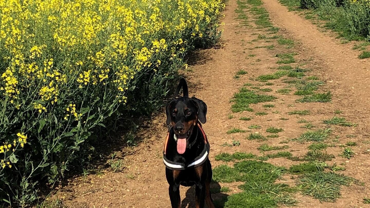 Photo of Others in Black Bourton