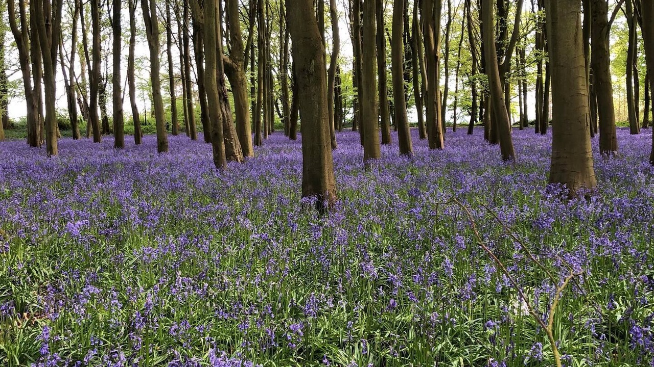 Photo of Others in Black Bourton