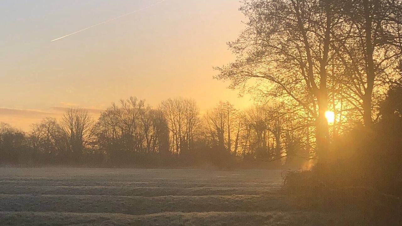 Photo of Others in Black Bourton
