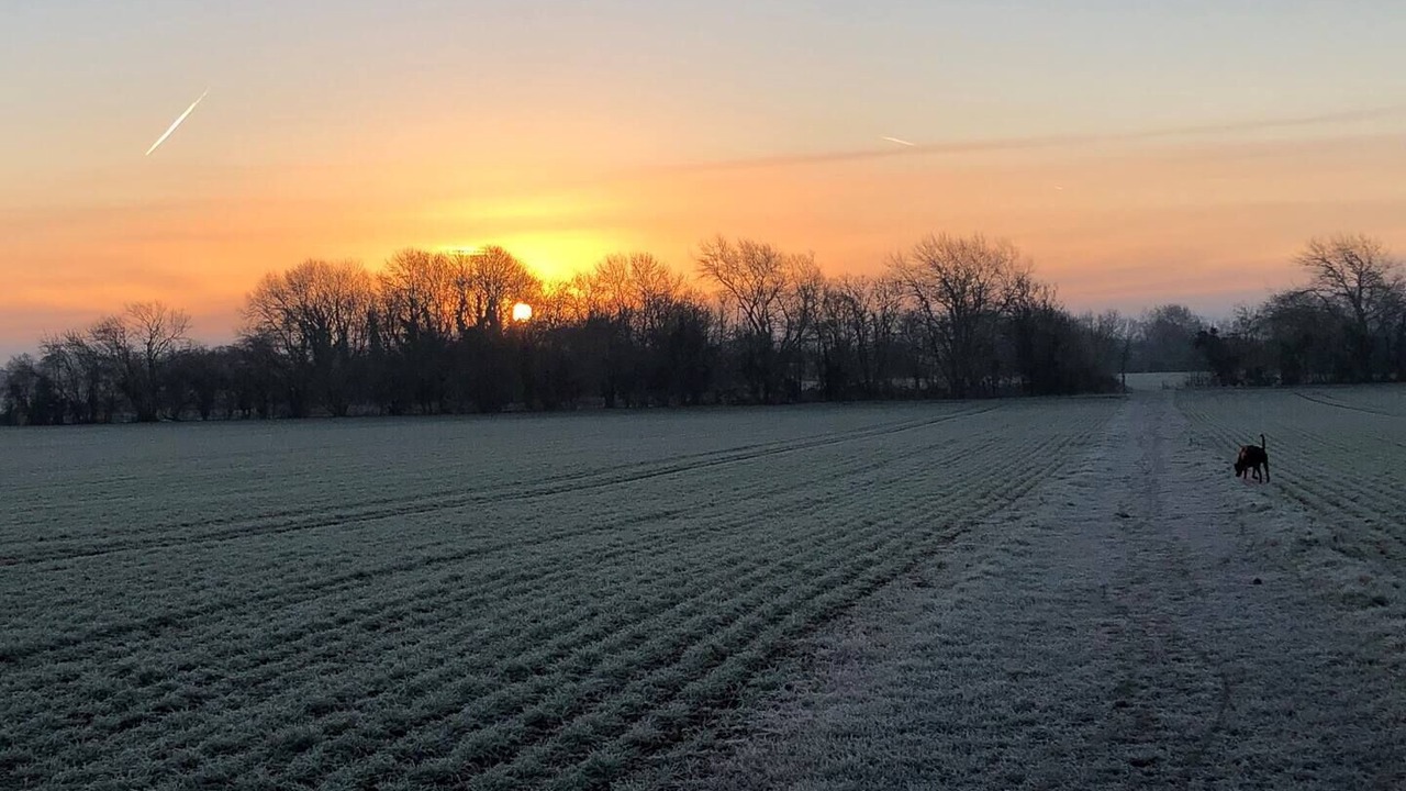 Photo of Others in Black Bourton
