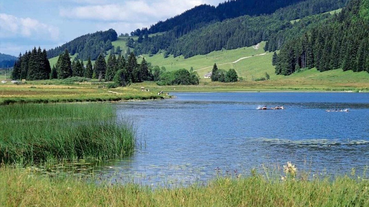 Photo of Others in Lons-le-Saunier