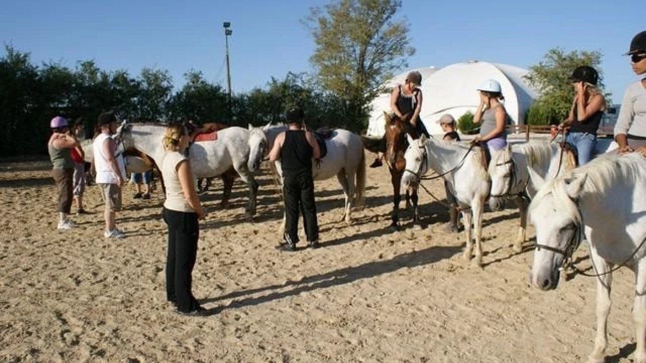 Photo of Others in Lons-le-Saunier