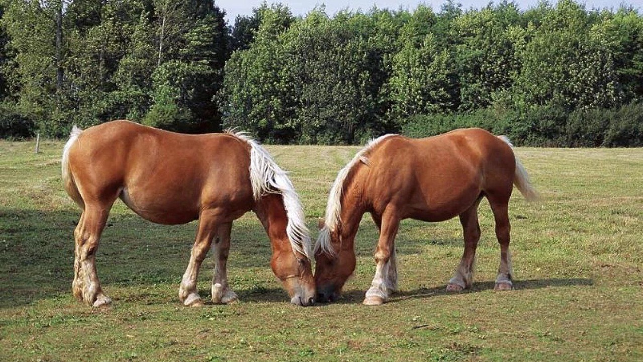 Photo of Others in Lons-le-Saunier