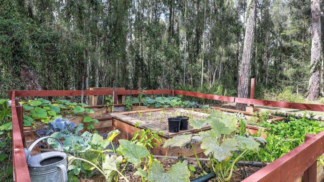 Photo of Outdoor in St. Georges Basin