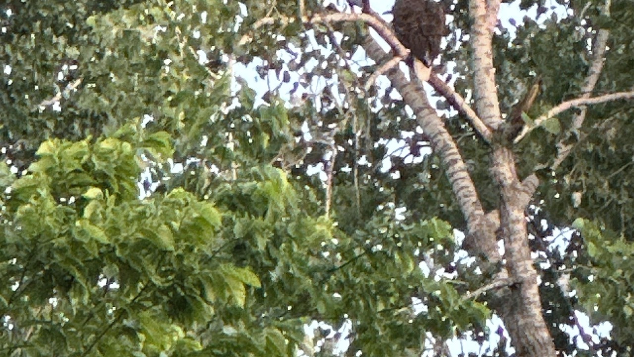 Photo of Others in Afton