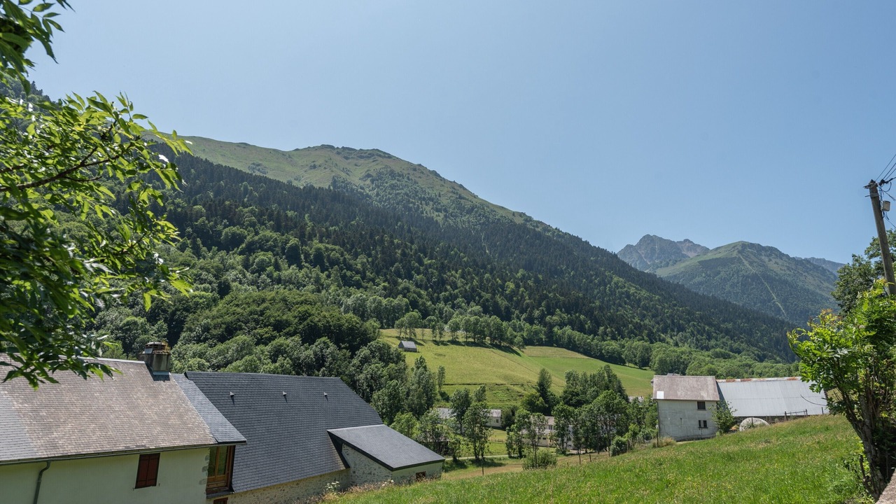 Photo of Others in Campan