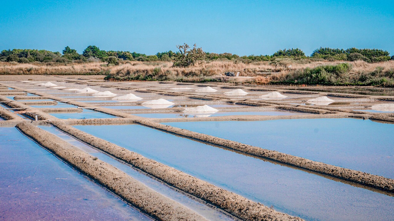 Photo of Others in Saint-Aignan-Grandlieu
