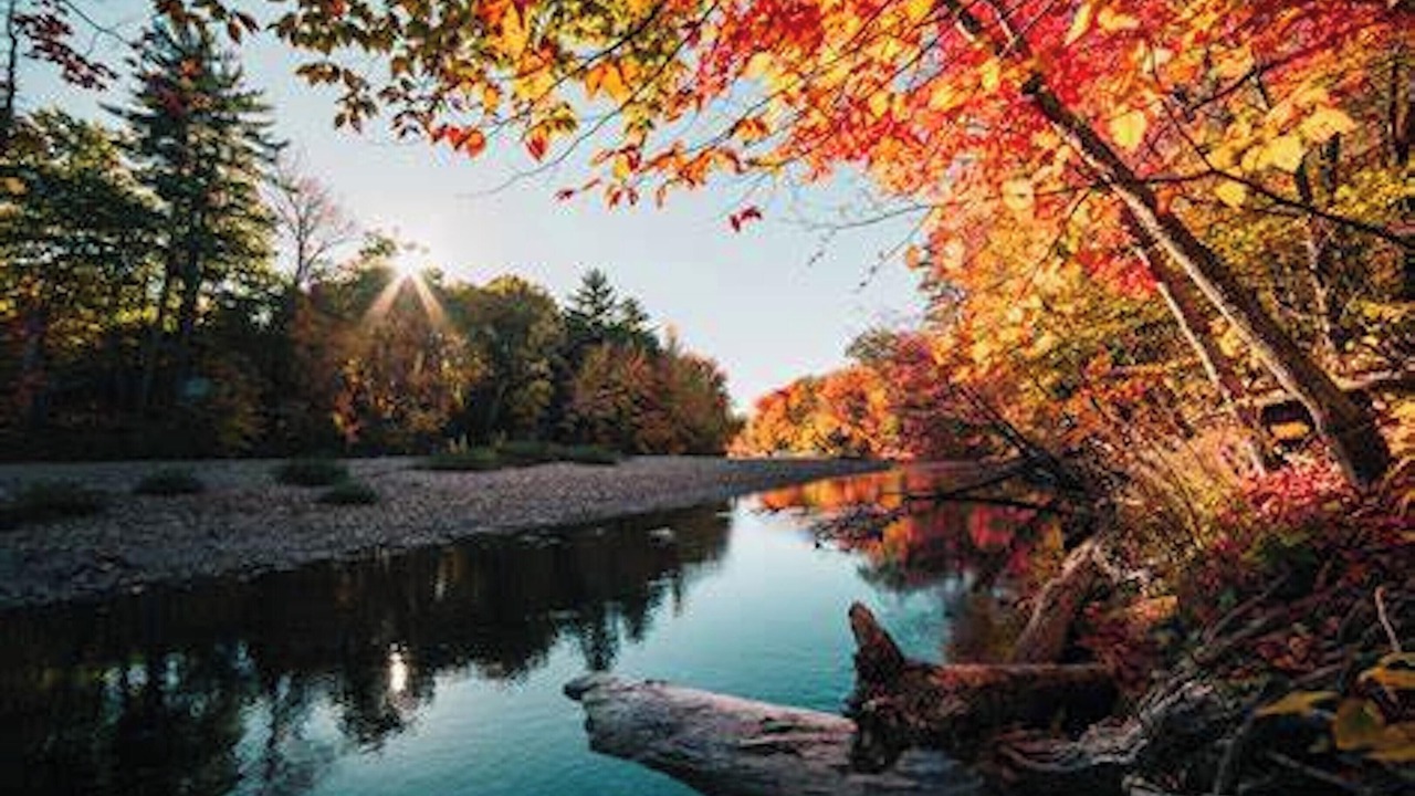 Photo of Outdoor in Saint-Germain-dEsteuil