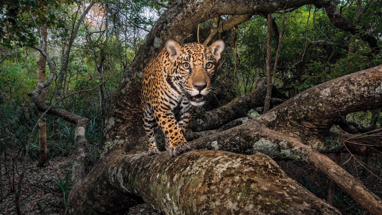 Photo of Others in Saint-Germain-dEsteuil